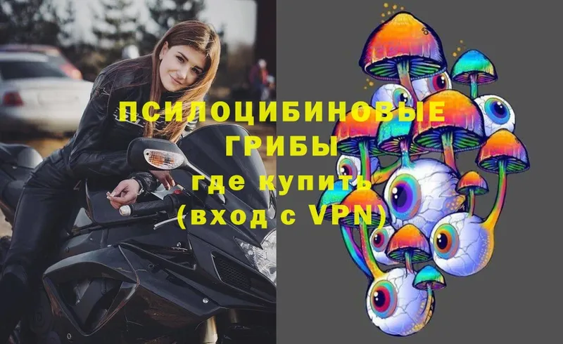 Псилоцибиновые грибы ЛСД Киселёвск