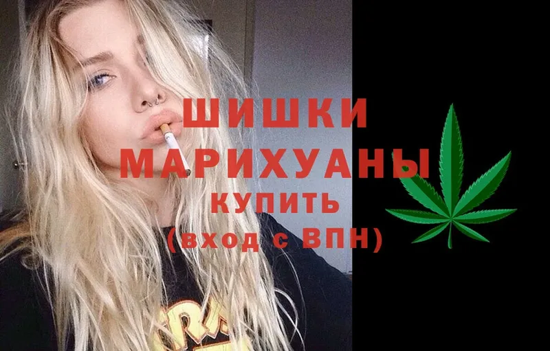 Шишки марихуана Amnesia  Киселёвск 